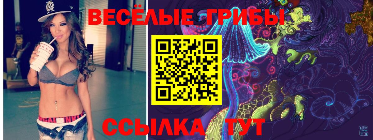 купить  сайты  Вход с VPN  Псилоцибиновые грибы MAGIC MUSHROOMS  Лесной  Галлюциногенные грибы ЛСД 